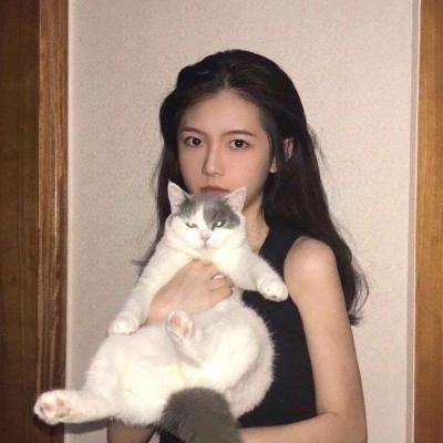 三国群英杀破解版下载